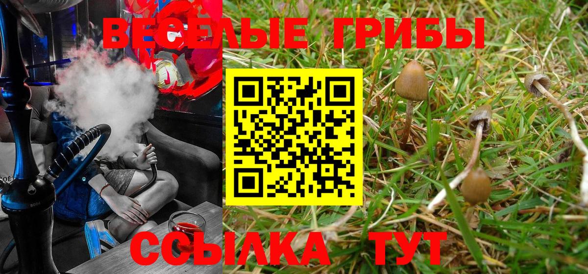 Галлюциногенные грибы MAGIC MUSHROOMS  купить наркотик  Вход с VPN  Керчь  Псилоцибиновые грибы Cubensis 