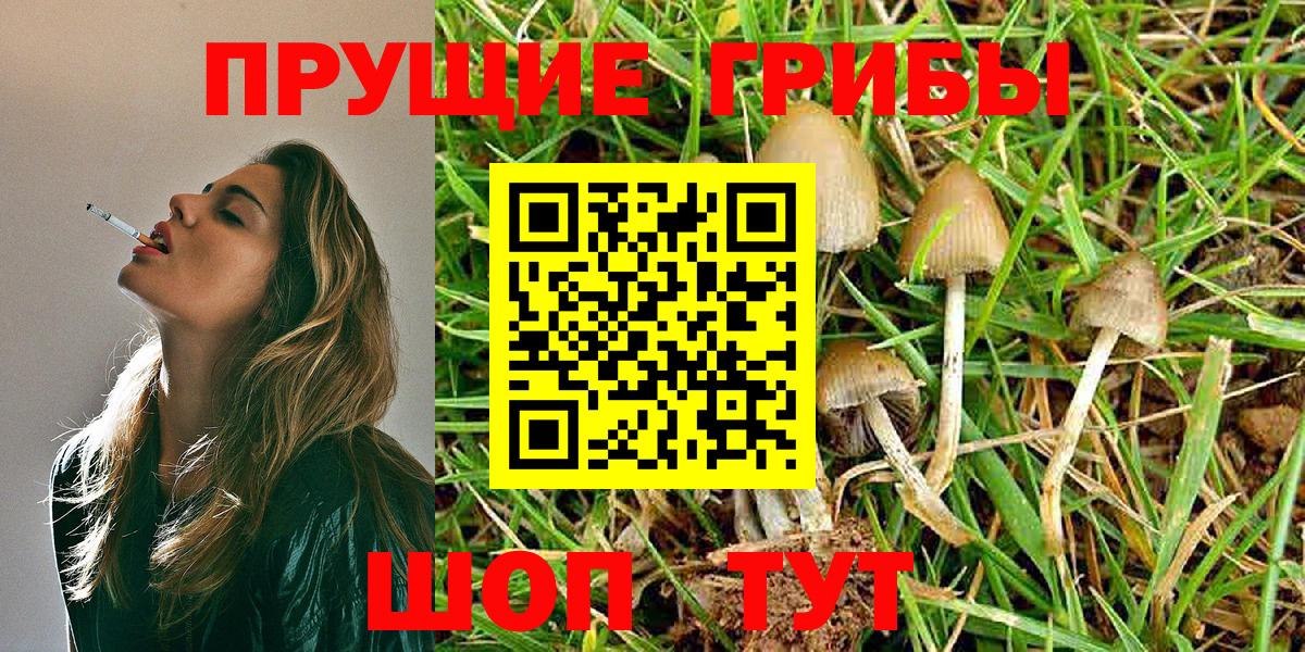 Псилоцибиновые грибы GOLDEN TEACHER  Керчь 